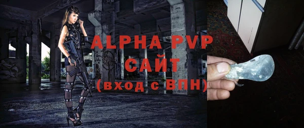 индика Мегион