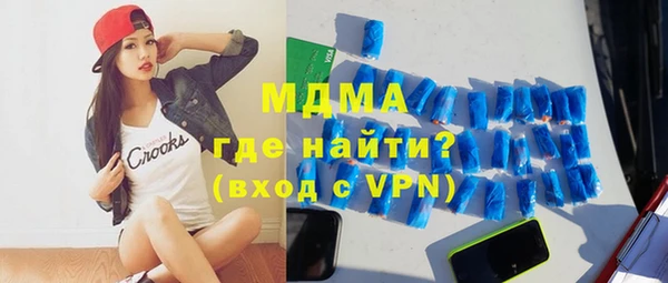 индика Мегион