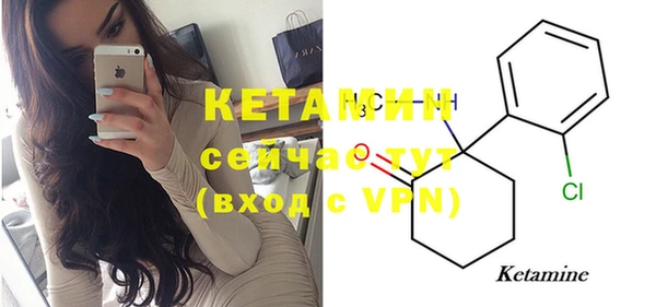 индика Мегион