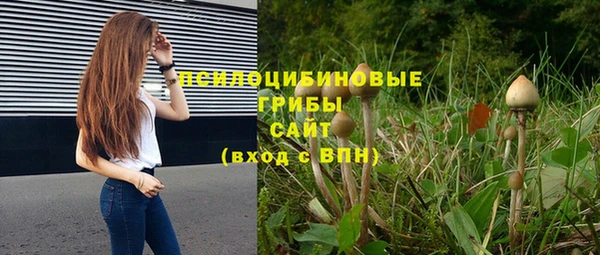 индика Мегион