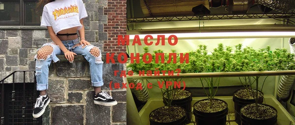 индика Мегион