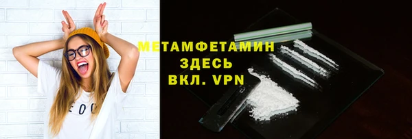 индика Мегион