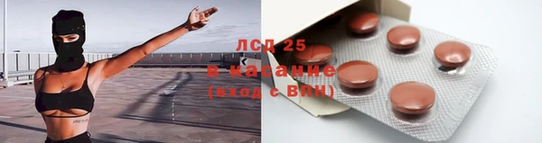 индика Мегион