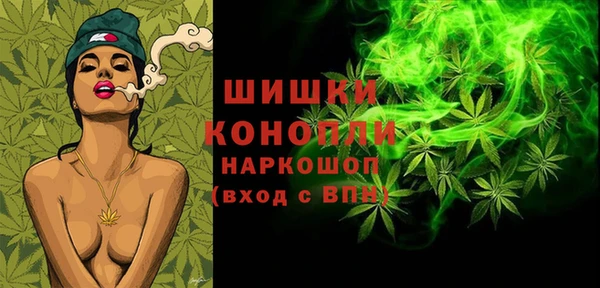 ПСИЛОЦИБИНОВЫЕ ГРИБЫ Медногорск