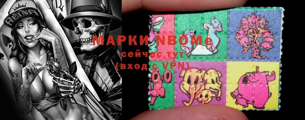 индика Мегион