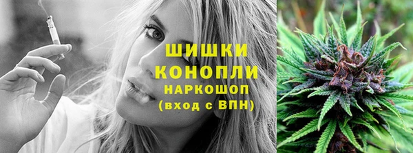 ПСИЛОЦИБИНОВЫЕ ГРИБЫ Медногорск