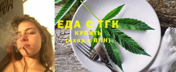 индика Мегион