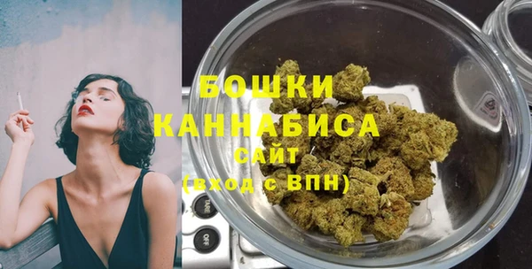 индика Мегион