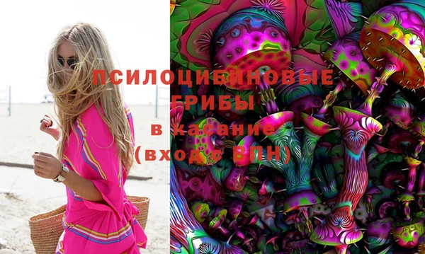 PSILOCYBIN Магас