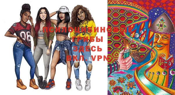 индика Мегион