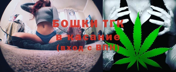 PSILOCYBIN Магас