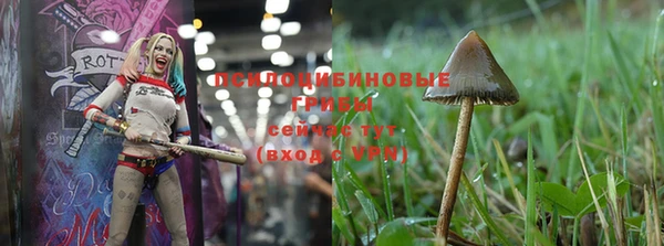 кокаин колумбия Медвежьегорск