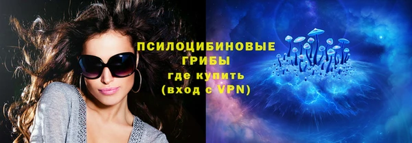 индика Мегион