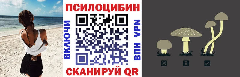 наркошоп  Краснослободск  Псилоцибиновые грибы Magic Shrooms 